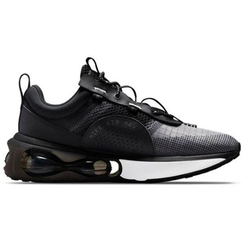 Кроссовки Nike Air Max 2021 Black Iron Grey DA1925-001