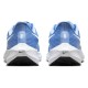 Кроссовки Nike Air Zoom Pegasus 39 TB University Blue