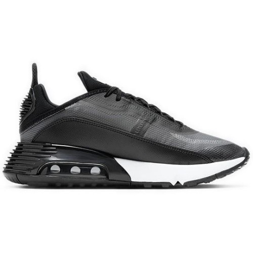 Кроссовки Nike Air Max 2090 Black CW7306-001