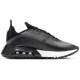 Кроссовки Nike Air Max 2090 Black CW7306-001