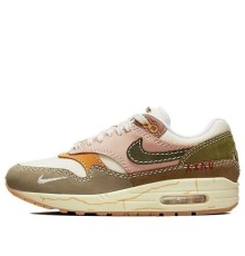 Nike Air Max Womens 1 Premium Air Max Day - Wabi-Sabi DQ8656-133 цвета хаки