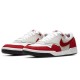 Кроссовки Nike GTS Return SB 'Air Max 1' CK3464-600