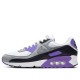 Кроссовки Nike Air Max 90 'Hyper Grape' CD0881-104