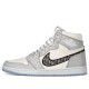 Dior x Air Jordan 1 High OG White Wolf Grey CN8607-002