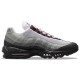Кроссовки Nike Air Max 95 'Dark Beetroot' DQ9001-001