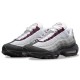 Кроссовки Nike Air Max 95 'Dark Beetroot' DQ9001-001