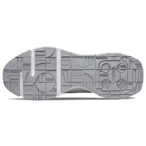 Nike Air Max (Найк Эир Макс) Womens Summit White Light Smoke Grey DQ2904-100 белые