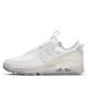 Кроссовки Nike Air Max Terrascape 90 Dream Venice женские
